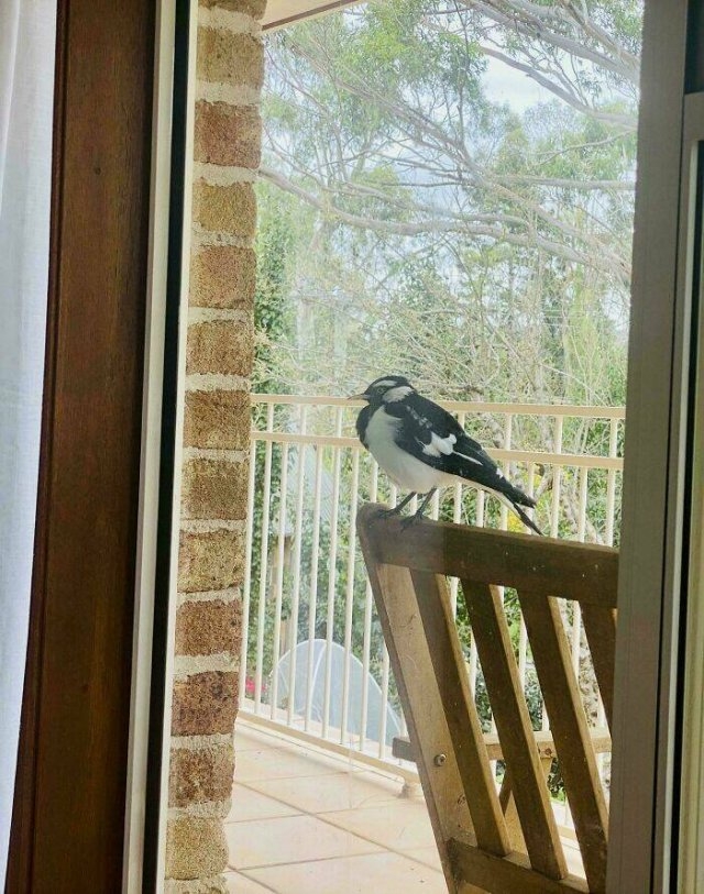 exploreaustralia2_023