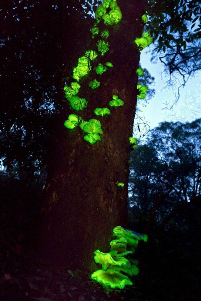 exploreaustralia2_031