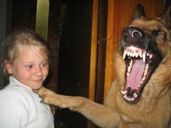 funnyanimals61_005