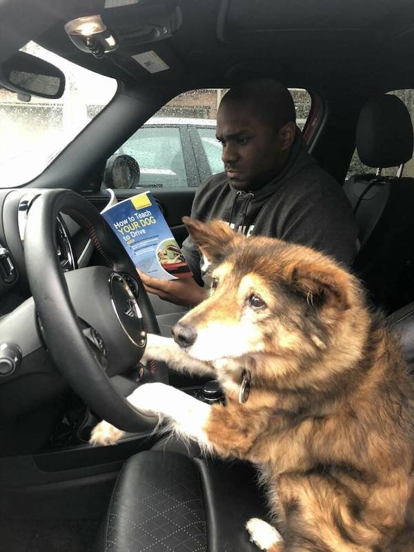 funnyanimals61_009