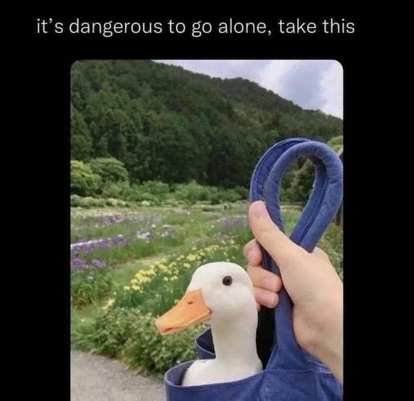 funnyanimals61_018