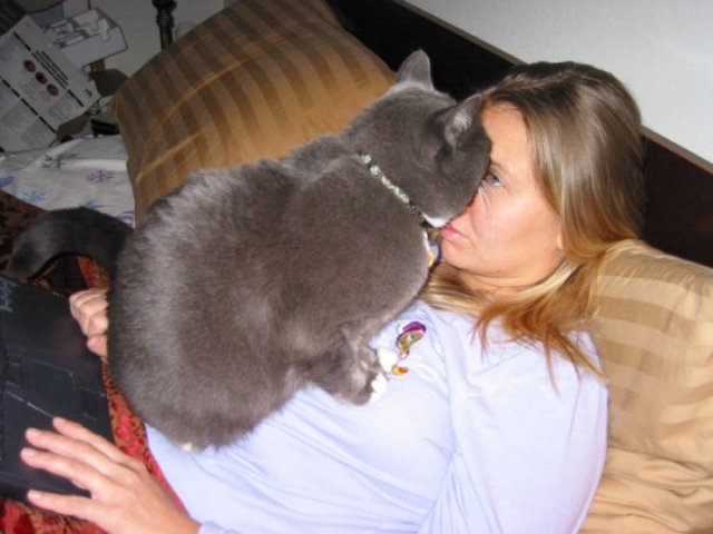 funnyanimals61_022