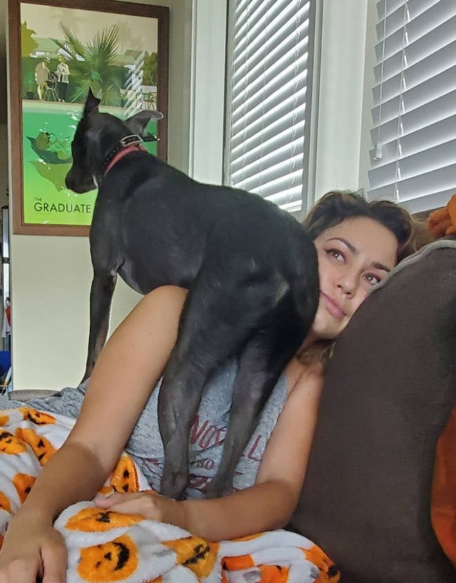 funnyanimals61_023