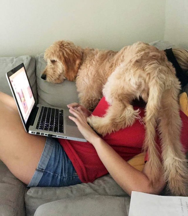 funnyanimals61_024