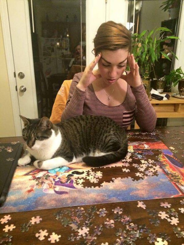 funnyanimals61_027