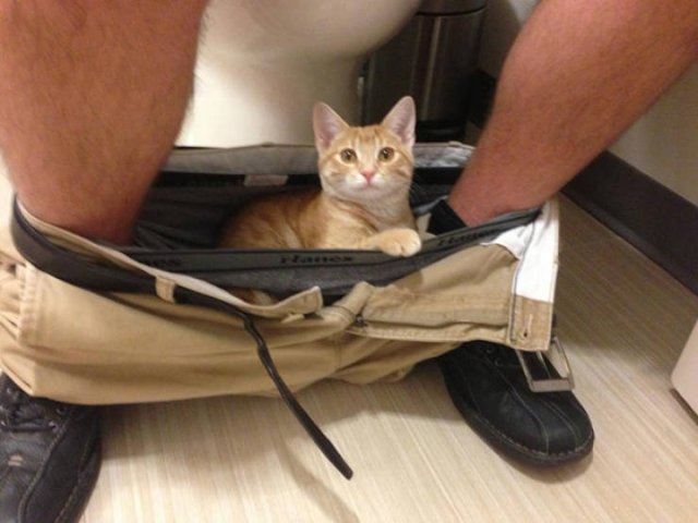 funnyanimals61_028