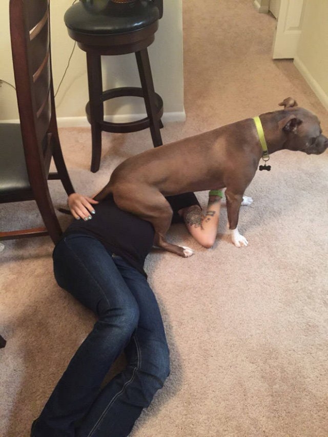 funnyanimals61_030
