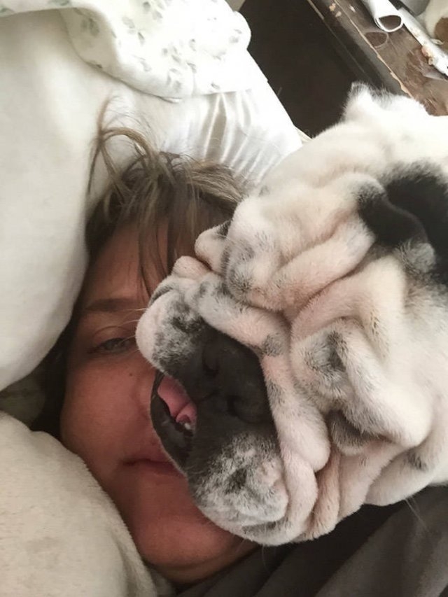 funnyanimals61_033