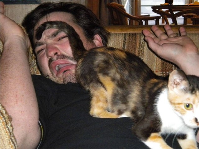 funnyanimals61_035