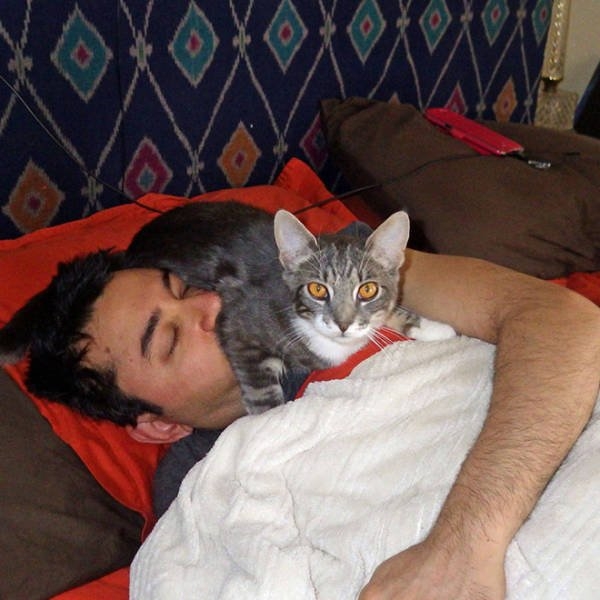 funnyanimals61_041