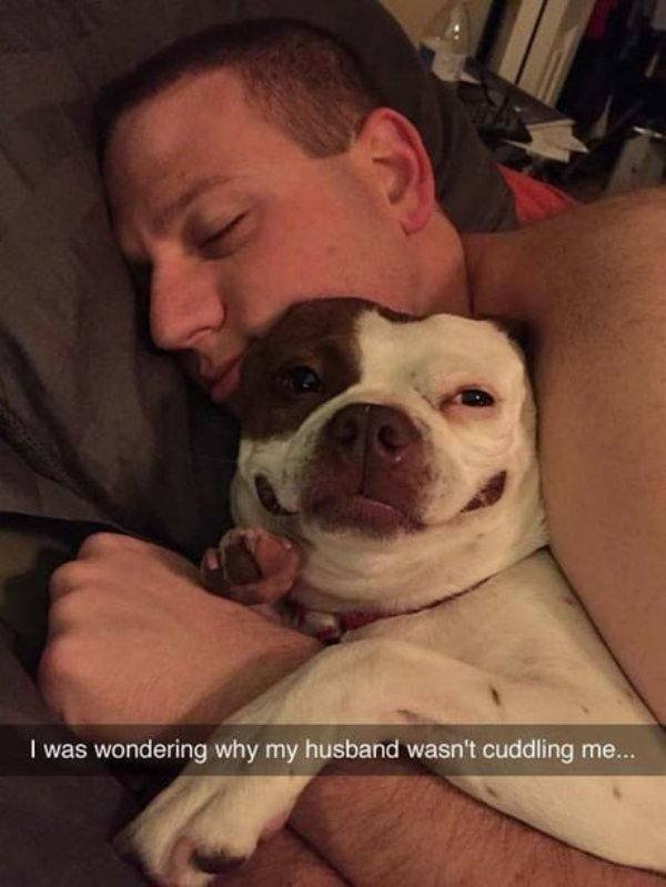 funnyanimals62_027