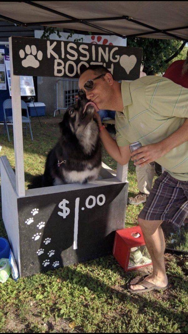 funnyanimals63_001