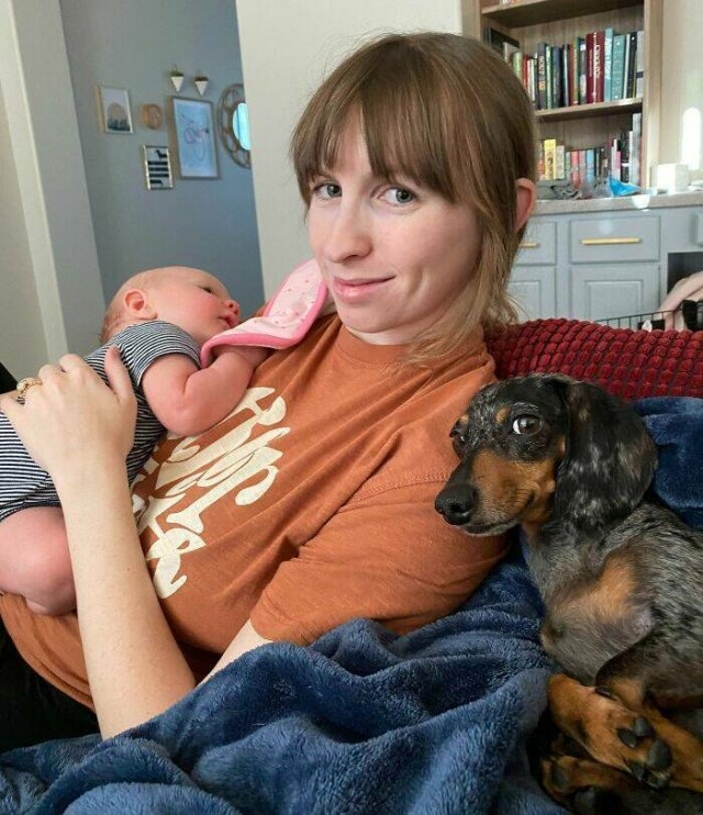 funnyanimals63_027
