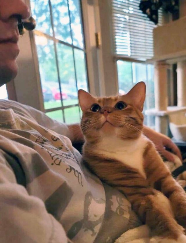 funnyanimals63_032