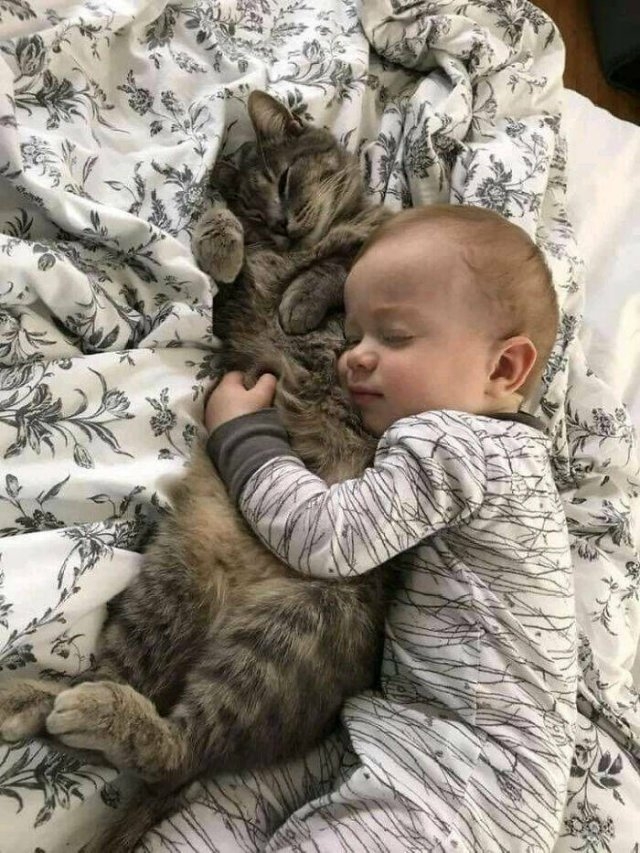 funnyanimals63_035