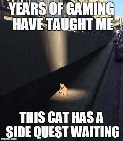 gamermemes28_037
