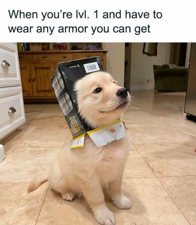 gamermemes28_040
