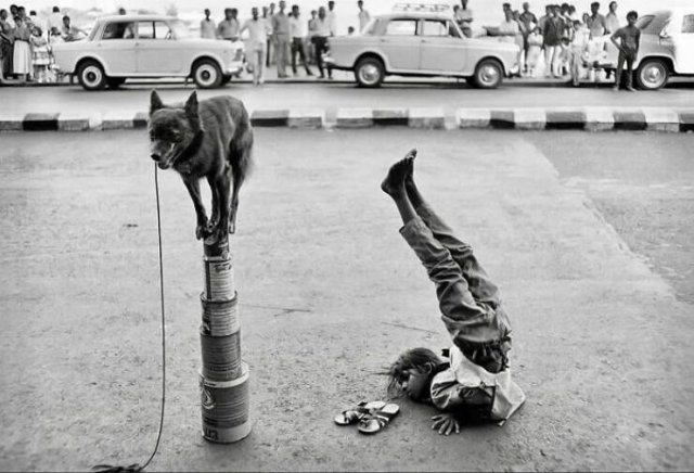 graffitistreetart10_013