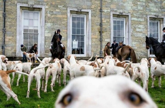 graffitistreetart10_021