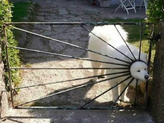 graffitistreetart10_024