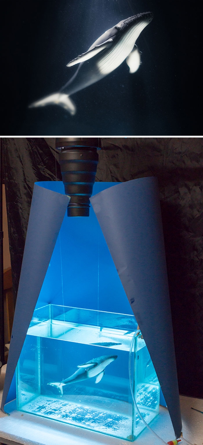 instagramreality5_010