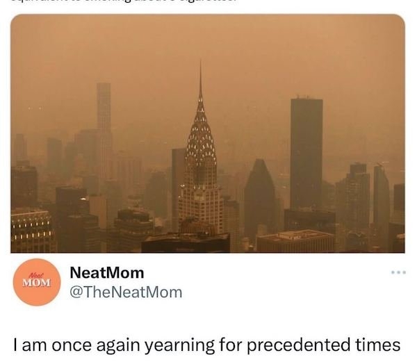 newyorksmogmemes_007