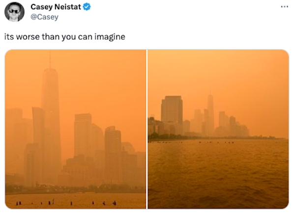 newyorksmogmemes_018