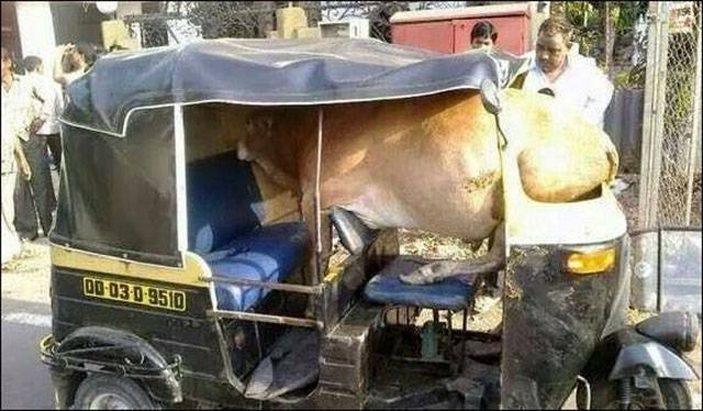 onlyinindia_016