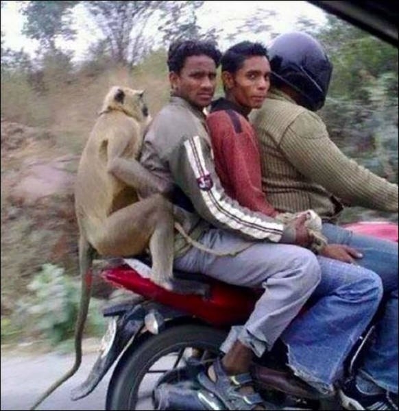 onlyinindia_024