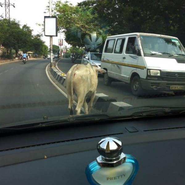 onlyinindia_032