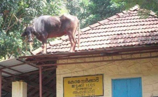 onlyinindia_034
