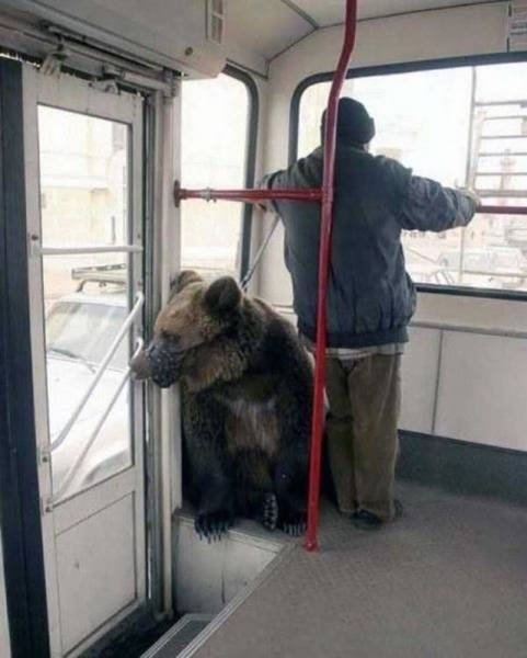 onlyinrussia81_032
