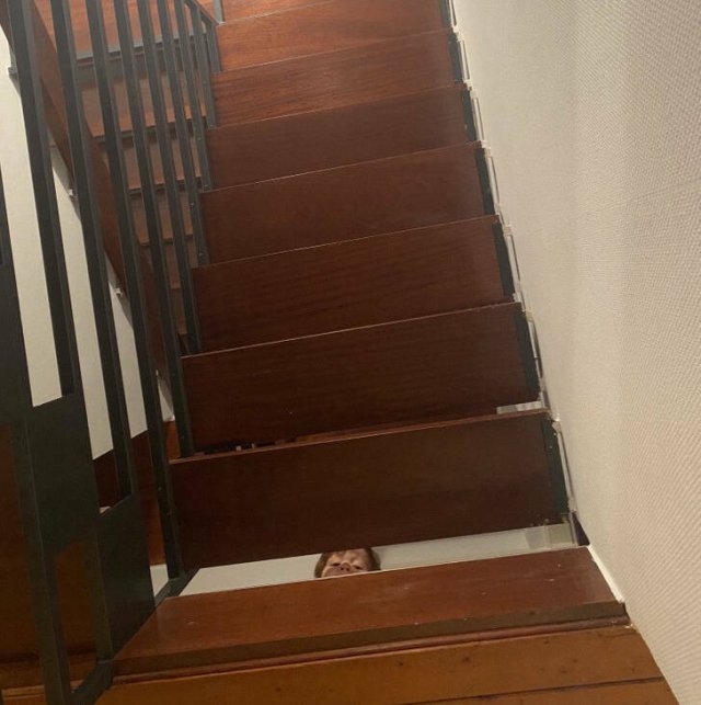 opticalillusions4_001