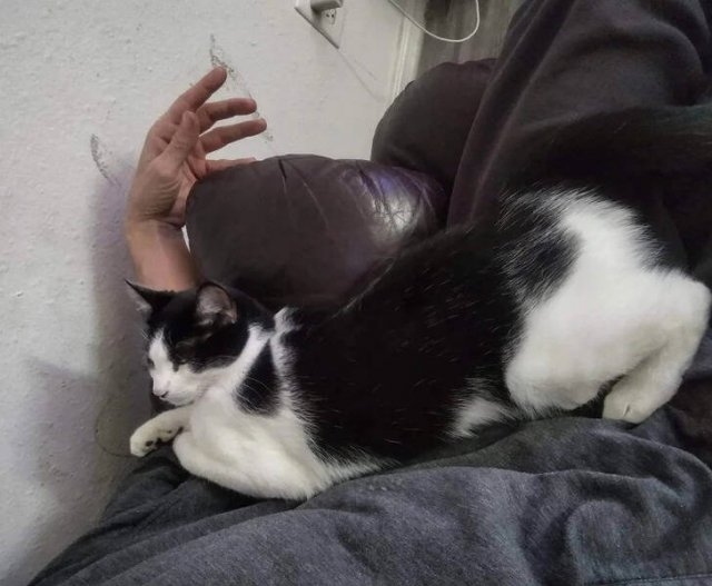 opticalillusions4_002