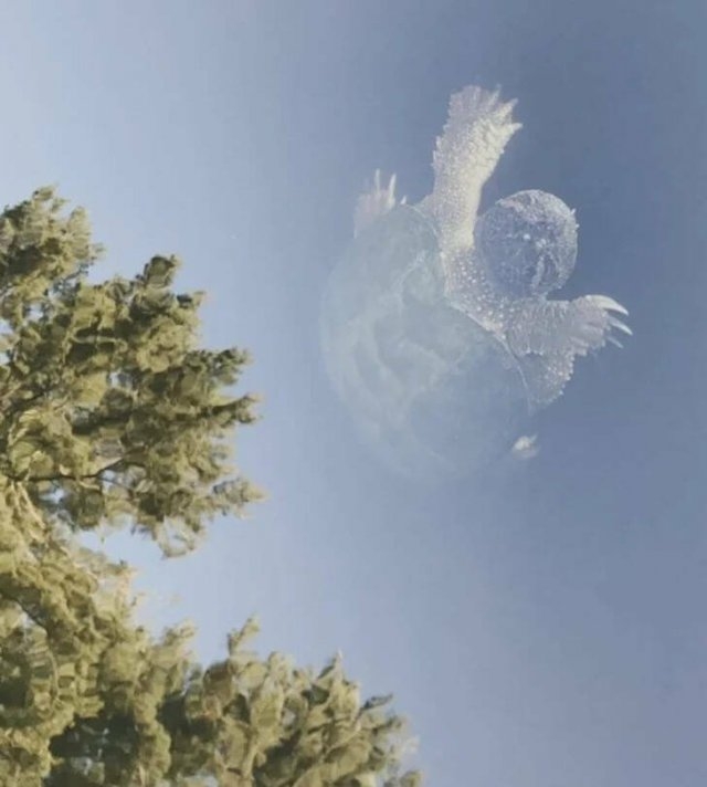 opticalillusions4_003