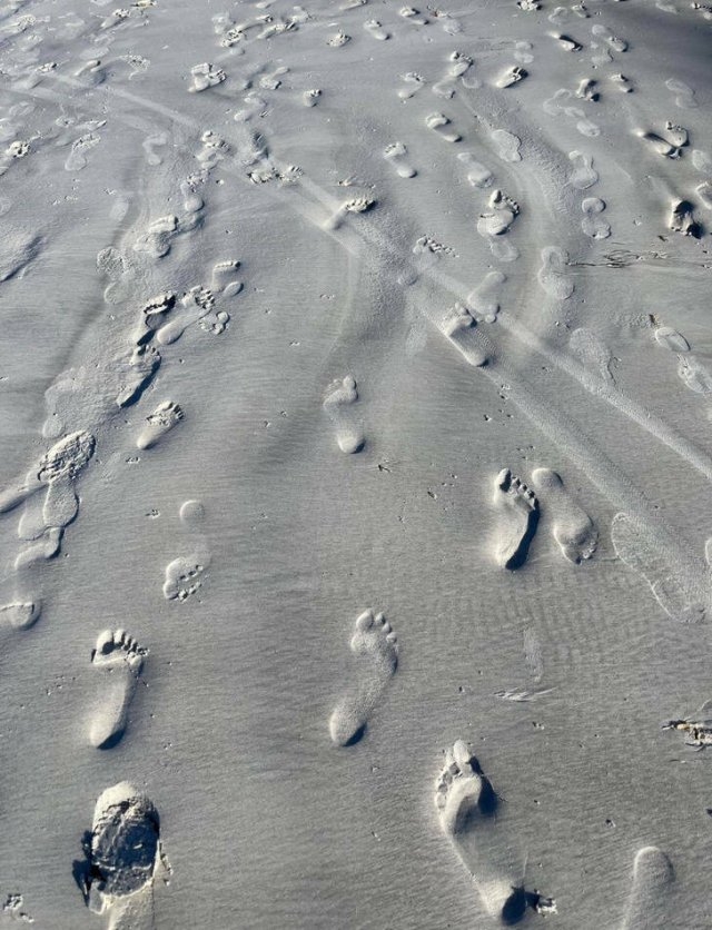 opticalillusions4_007