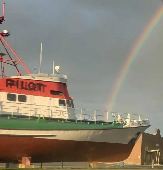 opticalillusions4_015