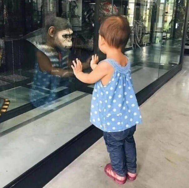 opticalillusions4_016