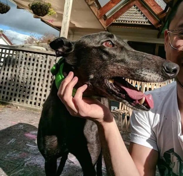 opticalillusions4_018