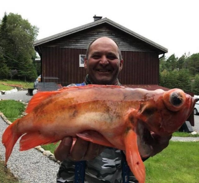 opticalillusions4_019