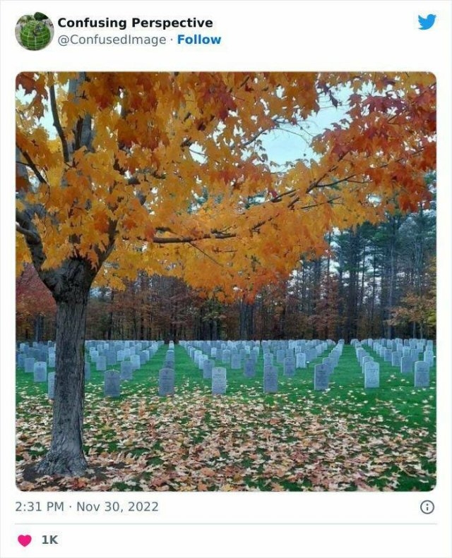 opticalillusions4_026