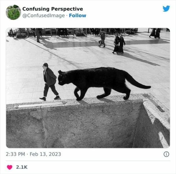 opticalillusions4_028