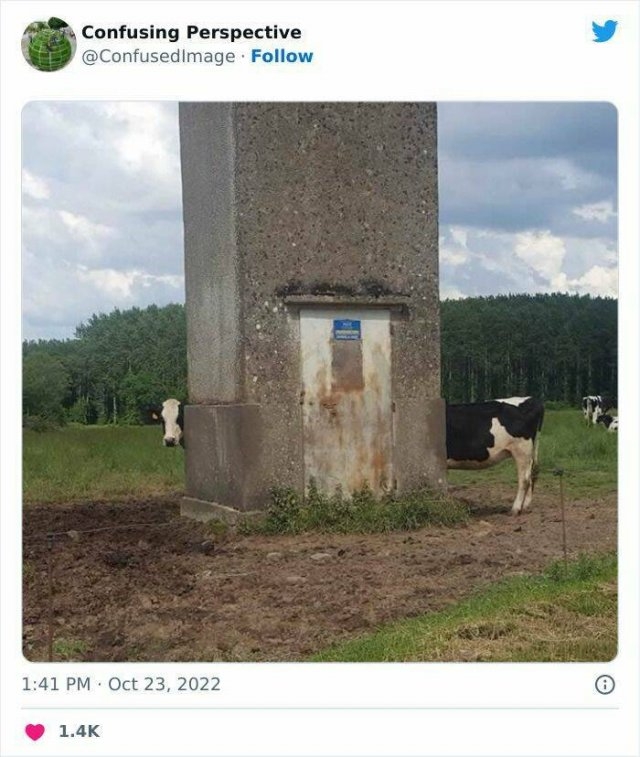 opticalillusions4_030