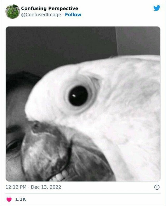 opticalillusions4_031