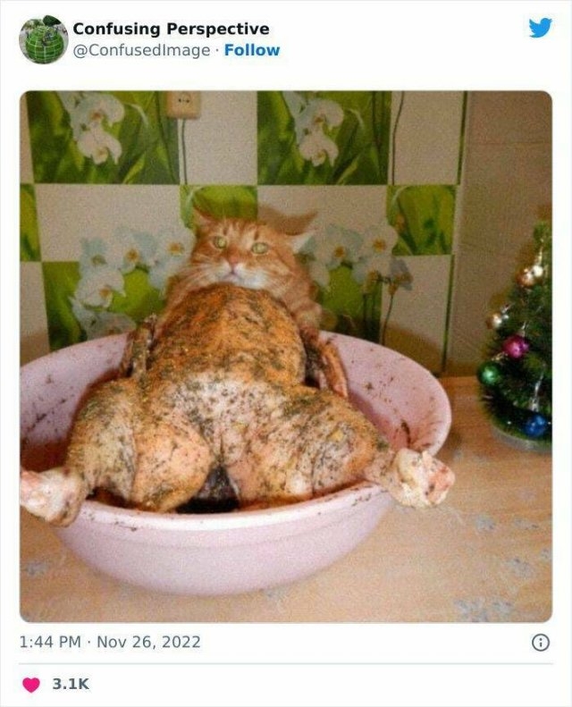 opticalillusions4_039