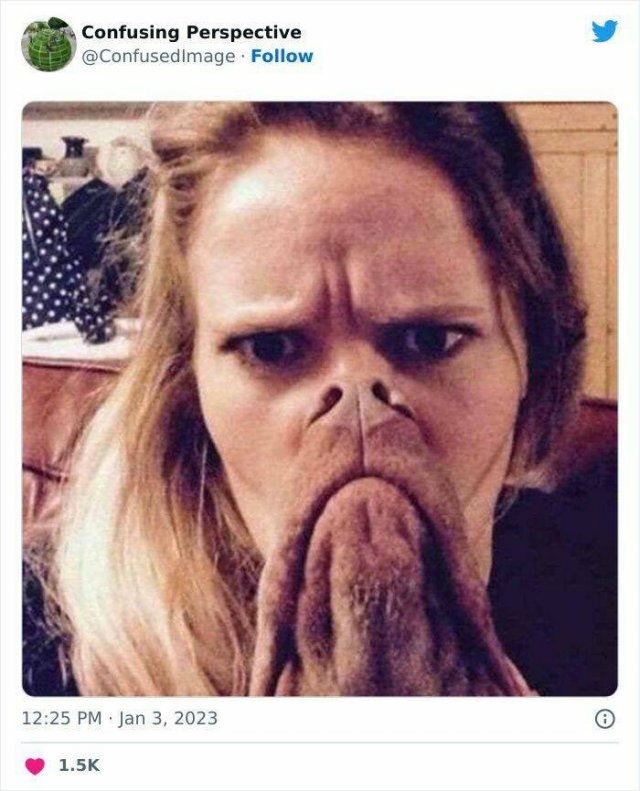 opticalillusions4_040