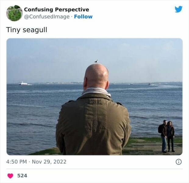 opticalillusions4_042