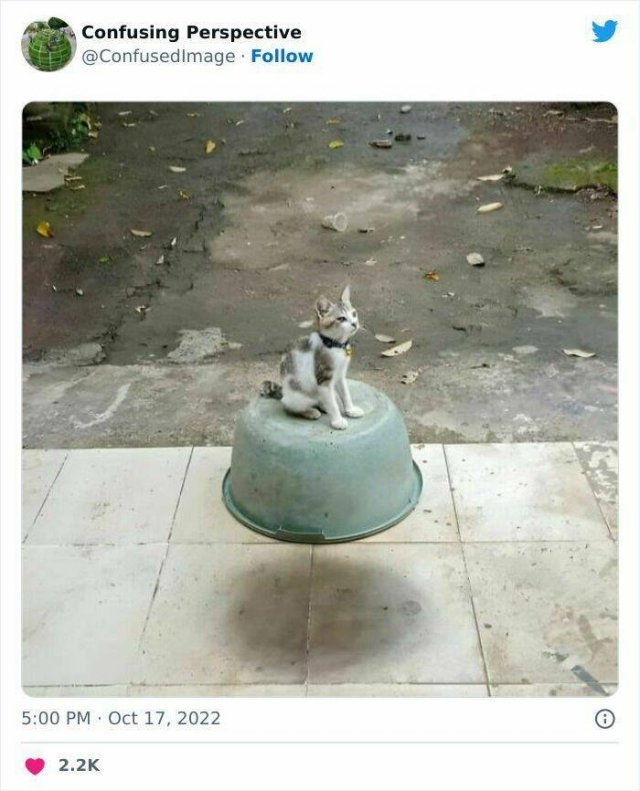 opticalillusions4_043