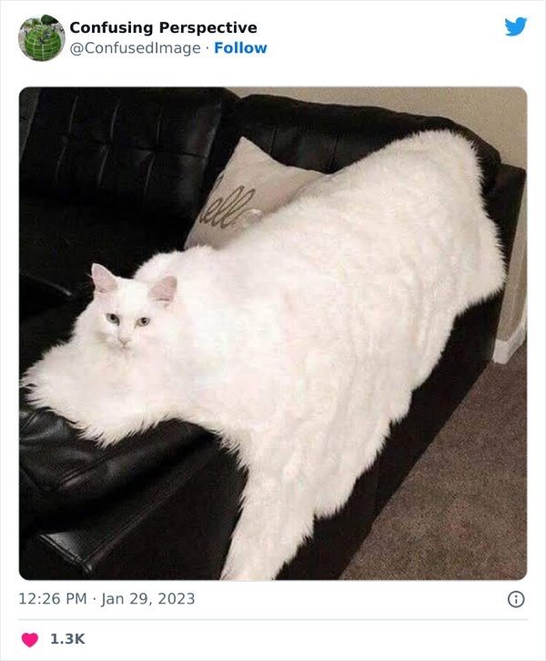 opticalillusions5_006