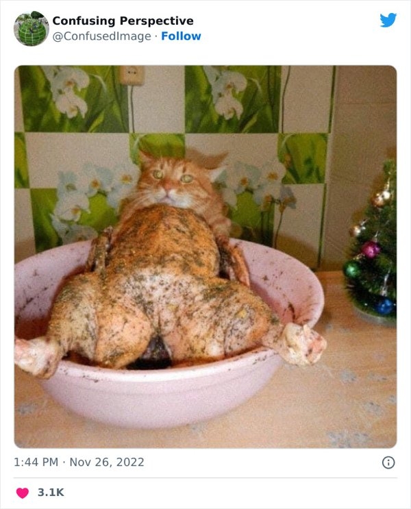 opticalillusions5_008